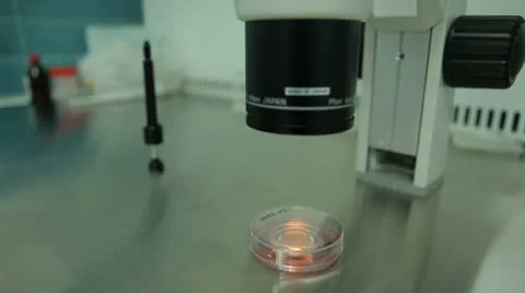 Petri dish under microscope 動画素材 20439229