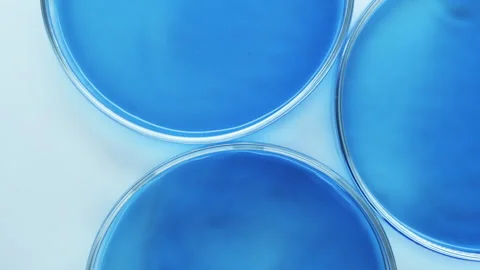 Petri dishes with blue liquid. Stock Footage 242804299