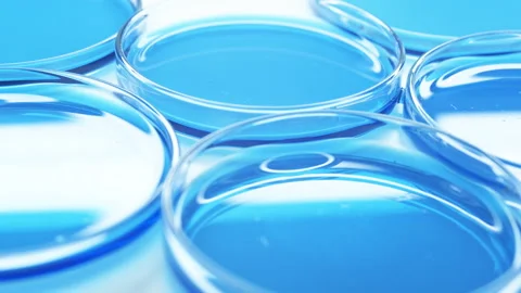 Petri dishes with blue liquid. Stock Footage 242804315