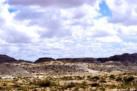 The petrifed forest Stock Photos