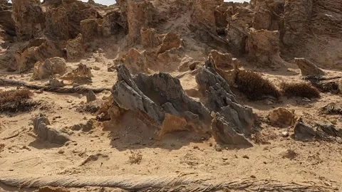 Petrified Forest and Limestone Formations at Cape Bridgewater - Geological .. Stock Footage 312066207