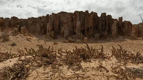 Petrified Forest and Limestone Formations at Cape Bridgewater - Geological .. Stock-Footage 312066285