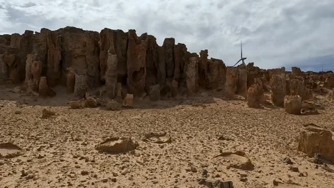 Petrified Forest and Limestone Formations at Cape Bridgewater - Geological .. Stock-Footage 312066308