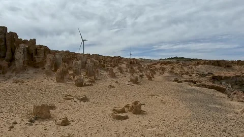 Petrified Forest and Limestone Formations at Cape Bridgewater - Geological .. Stock-Footage 312066377