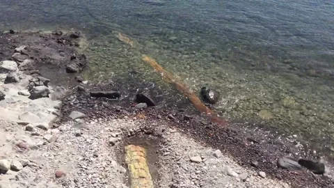 Petrified Forest Lesvos 動画素材 147494790