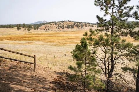 Petrified Forest Loop trail view in Florissant Fossil Beds National Monument  Stock Photos