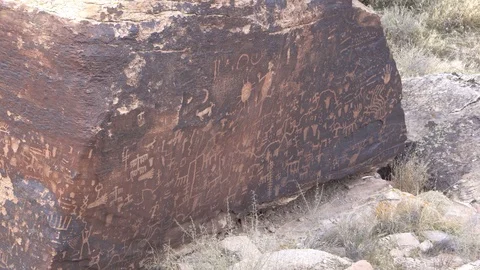 Petrified Forest Petroglyphs Video stock 122056470