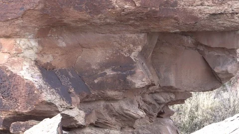 Petrified Forest Petroglyphs Vídeos de archivo 122056681