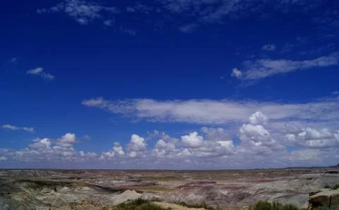Petrified forest Stock Photos