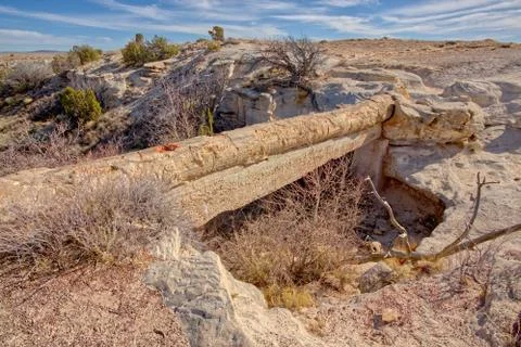 A petrified log called the Agate Bridge in Petrified Forest National Park, Fotos Stock
