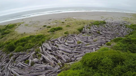 Petrified Log Dam Aerial Stock Footage 40613558