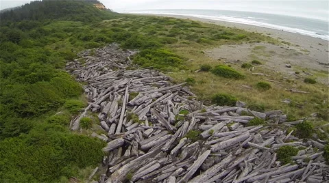 Petrified Logging Route Aerial Stock Footage 44093476