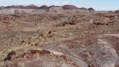 Petrified Tree Logs with badlands in background in Petrified Forest NP, Stock Footage 161416971