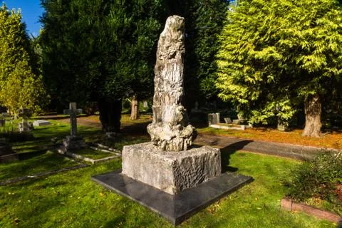 Petrified tree on top of grave. Stock Photos