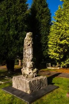 Petrified tree on top of grave. Stock Photos