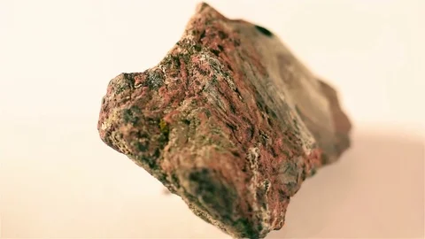 Petrified Wood Stock Footage 71552818