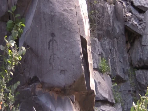 Petroglyph Lizard Stock Footage 74110623