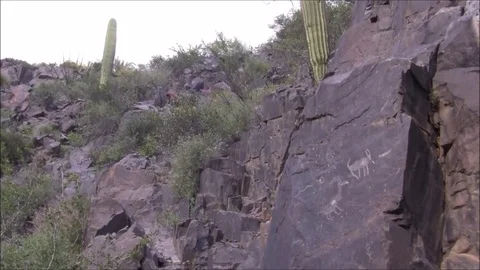 Petroglyphs in the Desert Stock Footage 74219795
