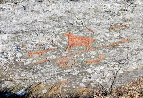 Petroglyphs Stock Photos