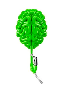 Petrol hose brain 스톡 일러스트