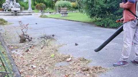 Petrol Leaf Blower Stock Footage 55752130