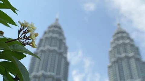 Petronas Twin Tower Stock Footage 117972955