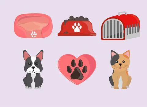 Pets and accessory set Stock Illustration