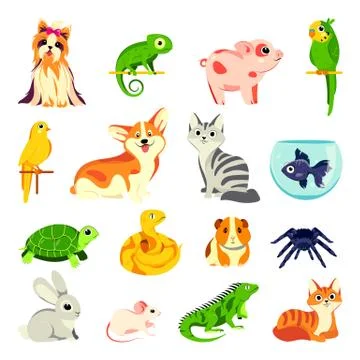 Pets animals set. Vector flat cartoon illustrations. Exotic domestic animal, Stock Illustration