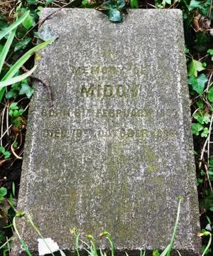 PET'S CEMETERY HEADSTONE Stock Photos