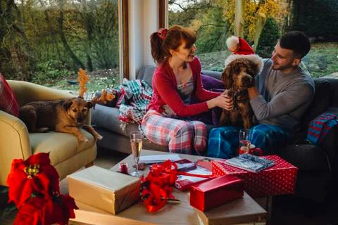 Pets at Christmas 스톡 사진