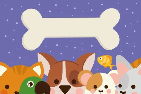 Pets cute animals and bone Illustrazione stock