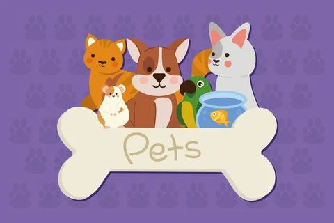 Pets cute animals Stock Illustration