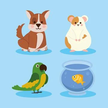 Pets different animals Stock Illustration
