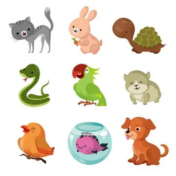 Pets domestic animals vector flat icons Stock Illustration