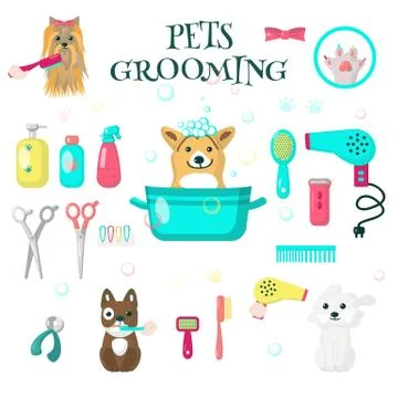 Pets grooming set, vector flat isolated illustration Stock Illustration