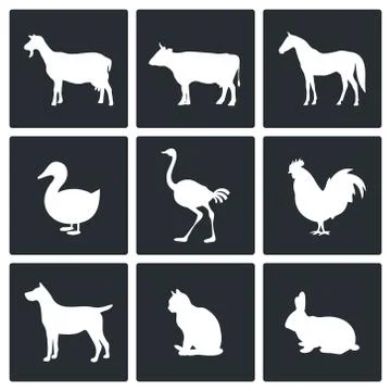 Pets icon collection Stock Illustration