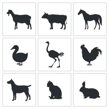 Pets icon set Ilustração Stock