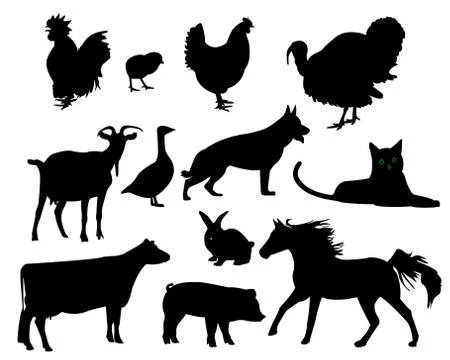 Pets Stock Illustration