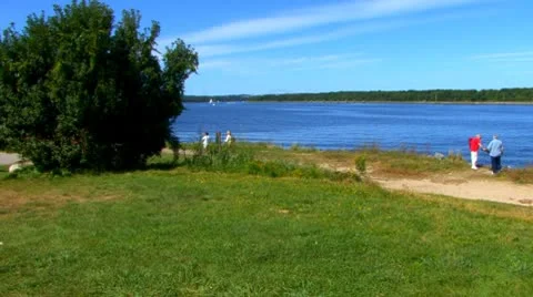 Pets, People &amp; Path Video stock 8921917