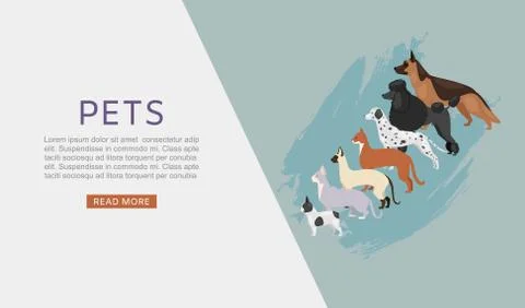 Pets shop web banner with different dogs and cats, petshop or veterinary service Stock Illustration