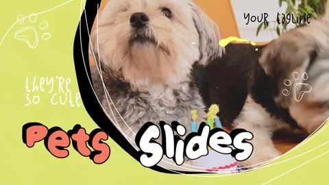 Pets Slides | After Effects Stock After Effects