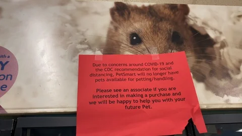 PetSmart coronavirus message Stock Footage 128097497