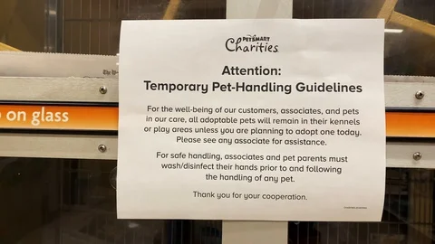 PetSmart coronavirus message Stock Footage 128097509