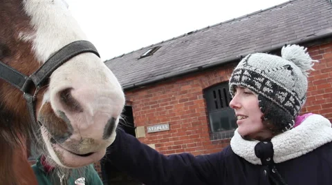 Petting a horse Stock Footage 47856991