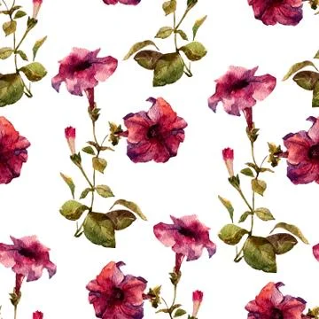 Petunia flower pattern Stock Illustration