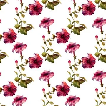 Petunia flower pattern 스톡 일러스트