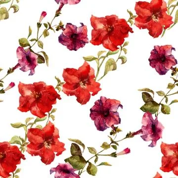 Petunia flower pattern Stock Illustration