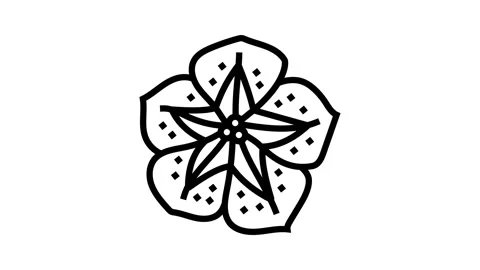 Petunia flower spring line icon animation Stock Footage 326135341