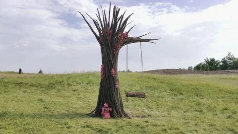 Petunia in the garden on a flower meadow Stock Footage 134201848