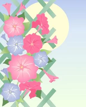 Petunias Stock Illustration